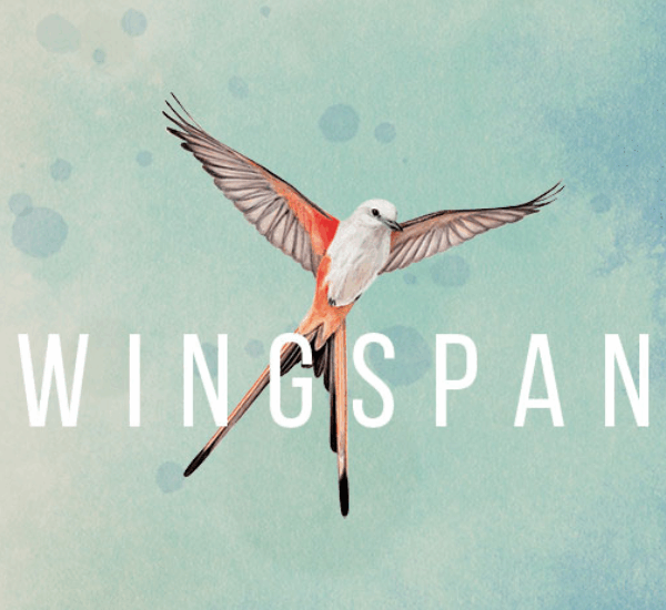 wingspan boardgame